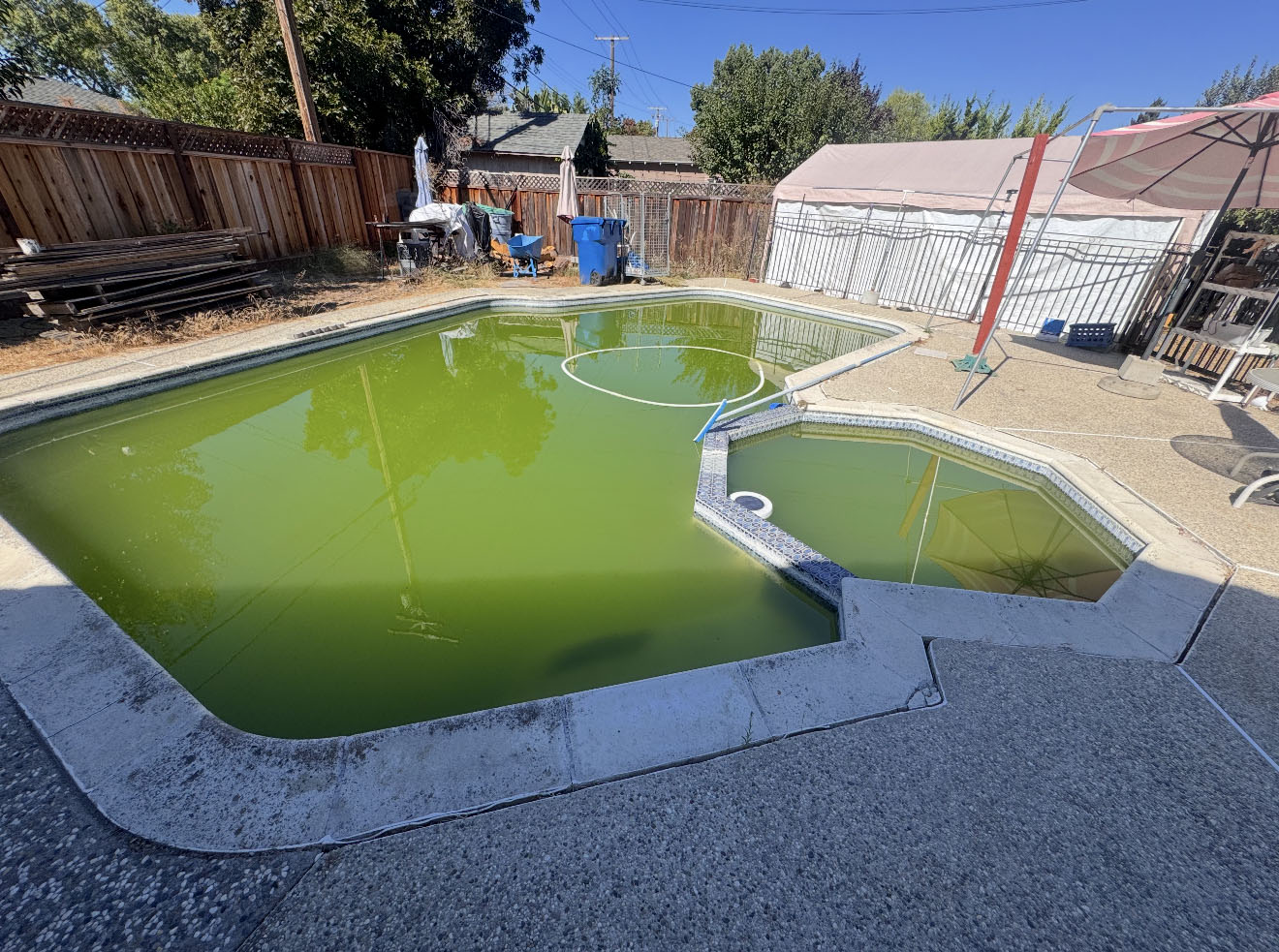 green pool cleaning services